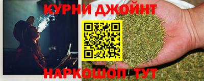 сатива Кингисепп