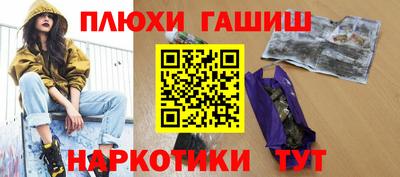 сатива Кингисепп