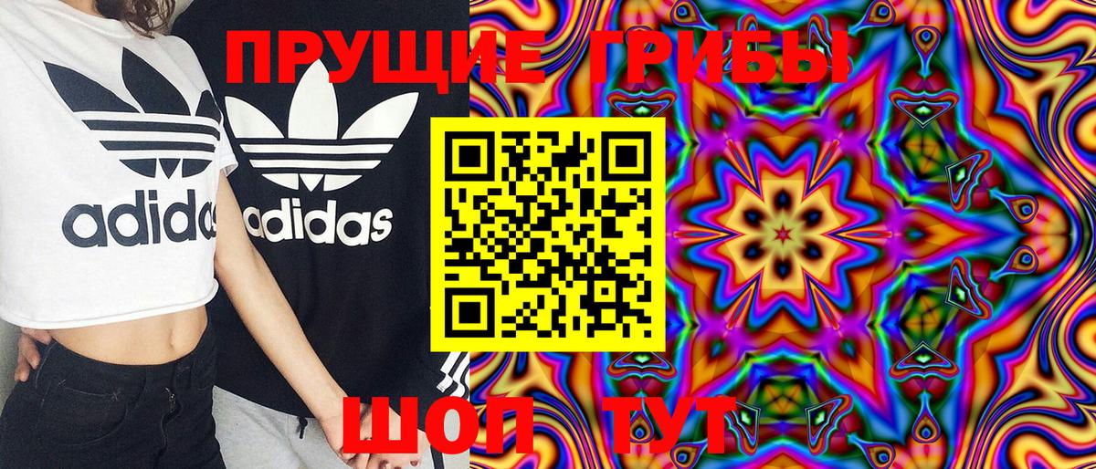 Королёв  Галлюциногенные грибы Cubensis  закладки  Вход с VPN 